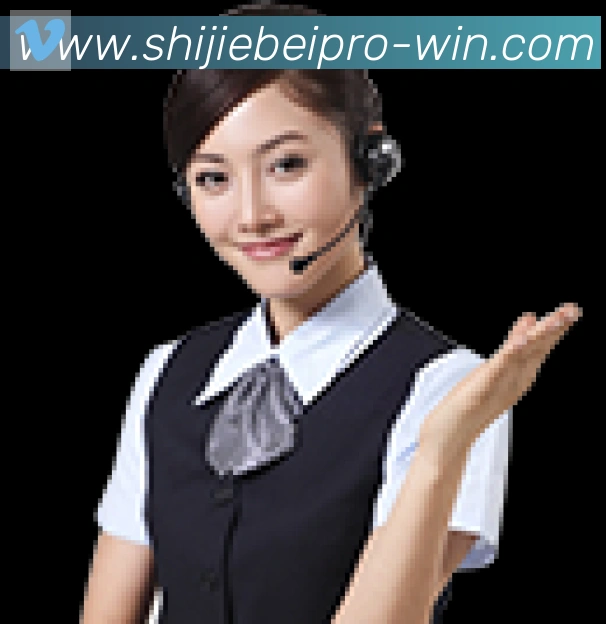 奖项2